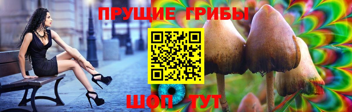 Алапаевск  как найти закладки  Вход с VPN  Псилоцибиновые грибы мицелий 