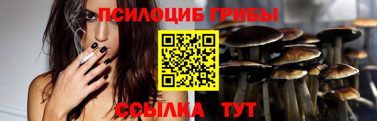 Псилоцибиновые грибы Psilocybe Алапаевск